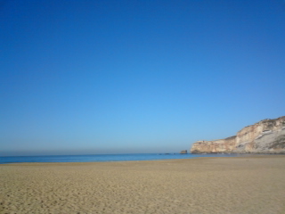 b0204492_0441553.jpg