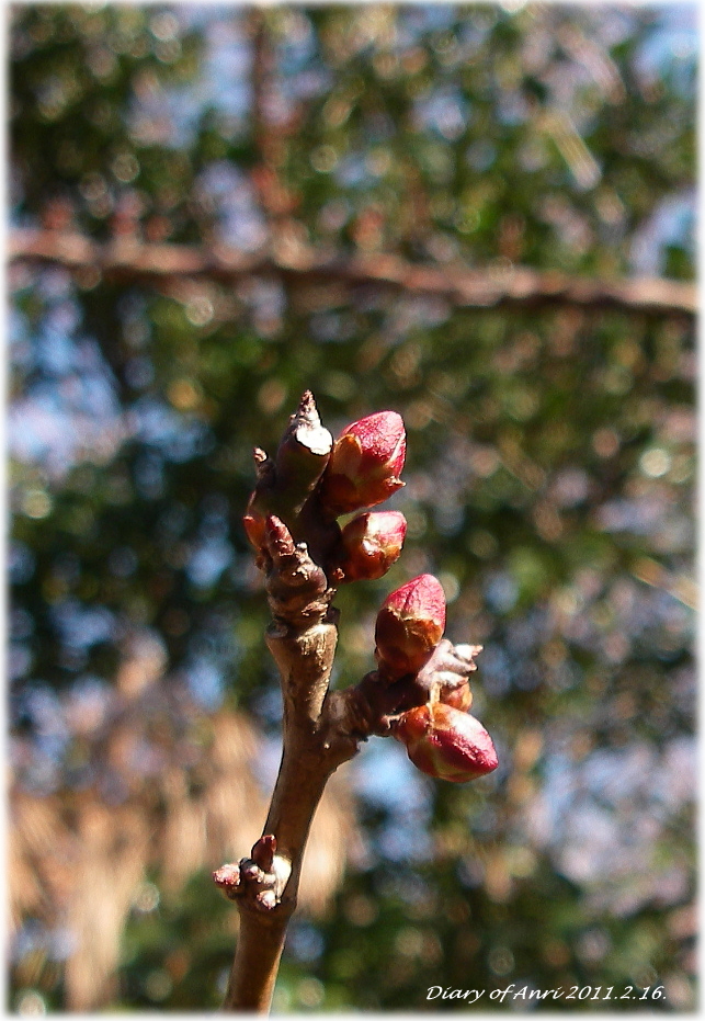 d0046294_7414895.jpg