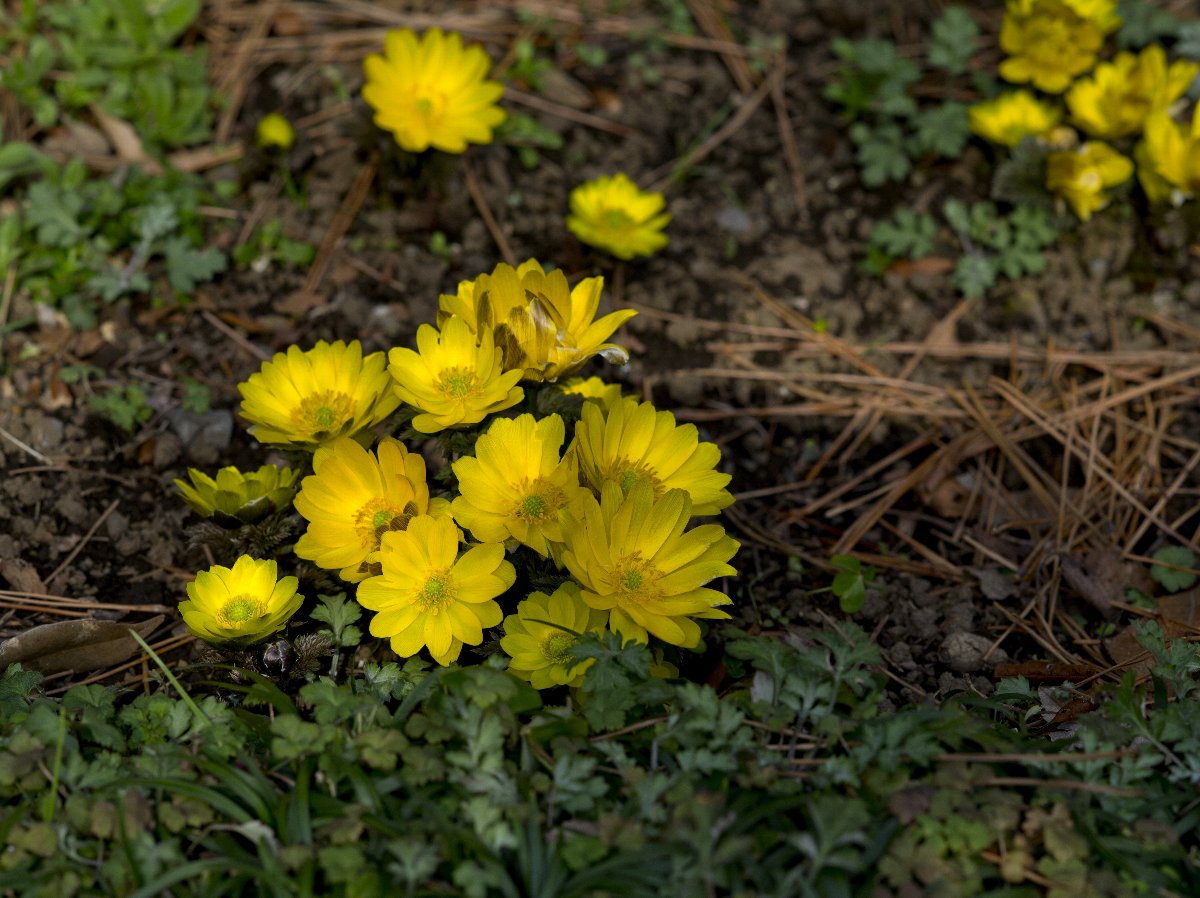 c0124795_22350100.jpg