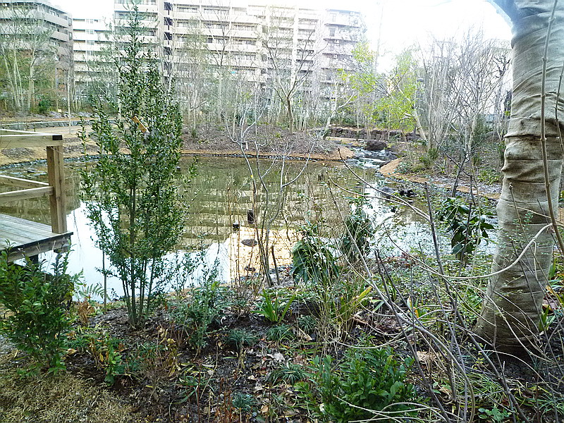 c0138198_74115.jpg