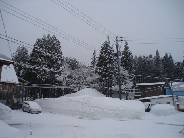 a0061599_7584325.jpg