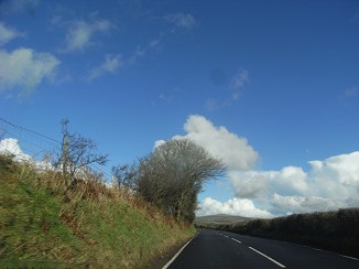 b0110999_2171348.jpg