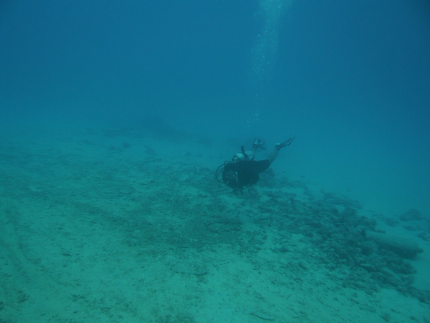 f0221708_16544971.jpg