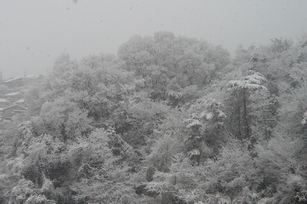 f0221708_2238302.jpg
