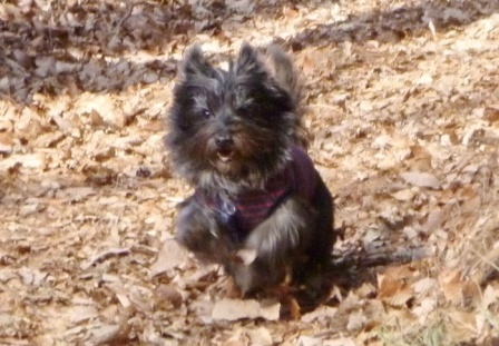 e0078510_1518221.jpg