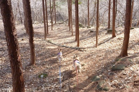 e0078510_15182934.jpg