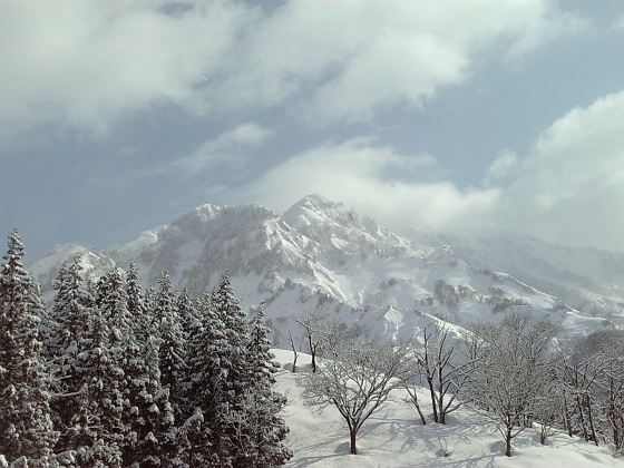 b0199924_20305613.jpg