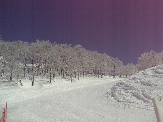 b0199924_2031795.jpg