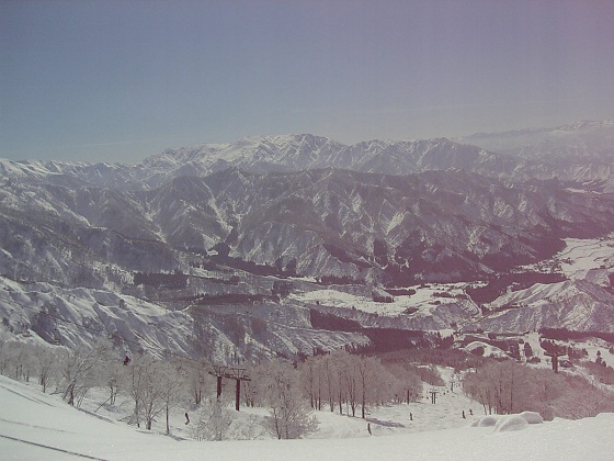 b0199924_20345798.jpg