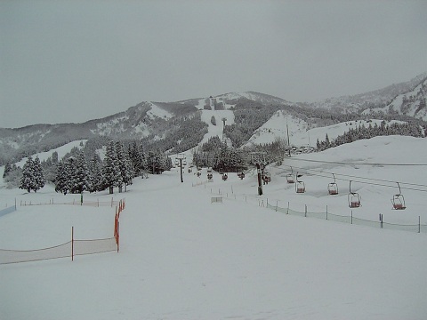 b0199924_2041071.jpg