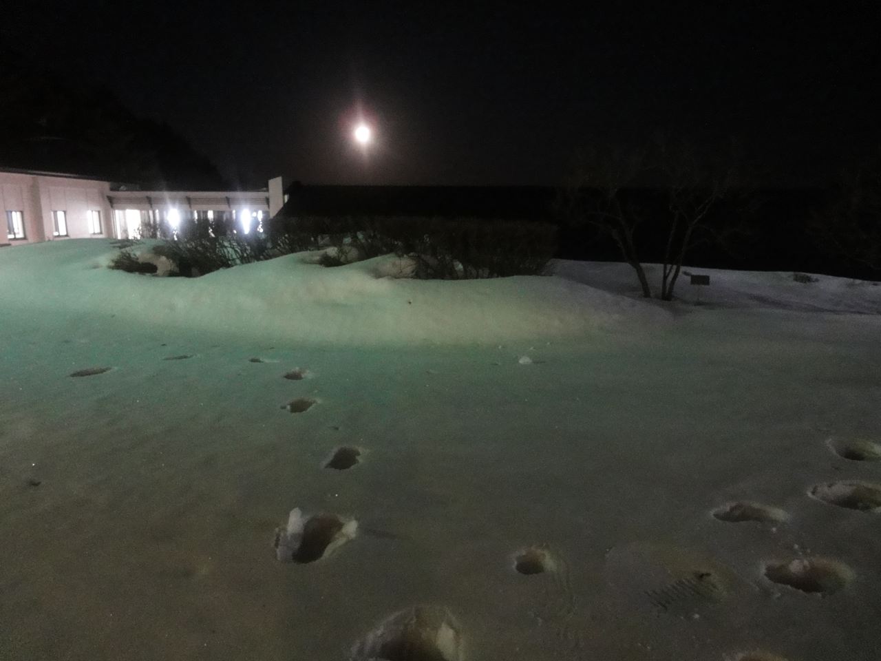 b0207724_23202347.jpg