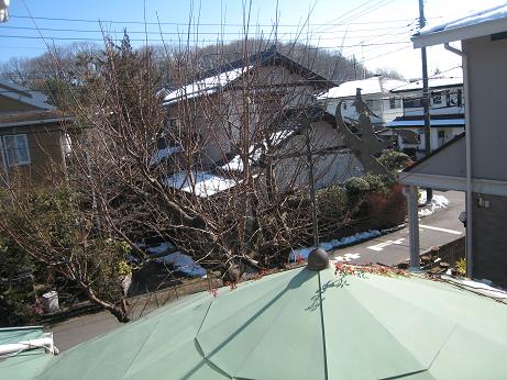 f0166824_17445880.jpg