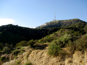 c0148627_12234885.jpg