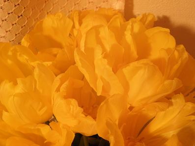 c0201427_12134565.jpg