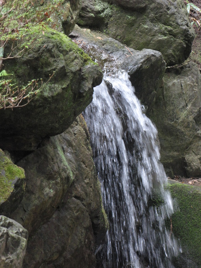 d0195027_0171117.jpg