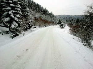 b0171428_18162380.jpg