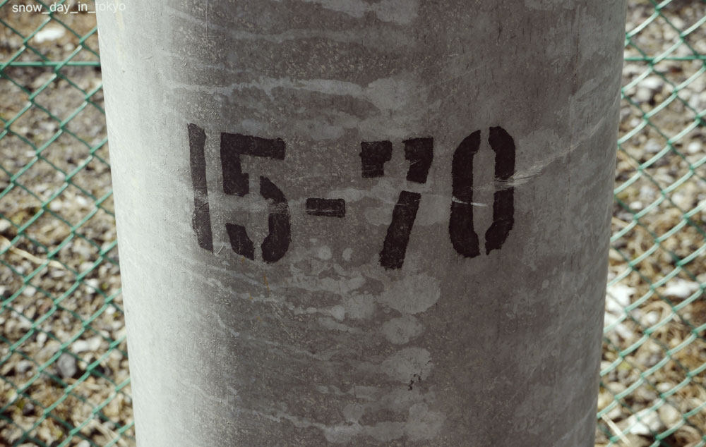 e0199431_1650378.jpg