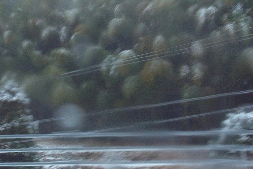 a0017634_18571293.jpg