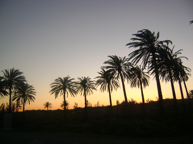 d0118438_12211037.jpg