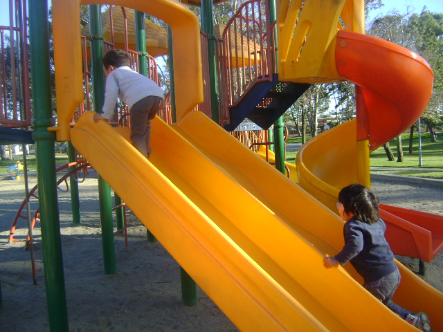 d0118438_12372538.jpg
