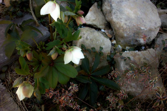 c0227239_18114268.jpg