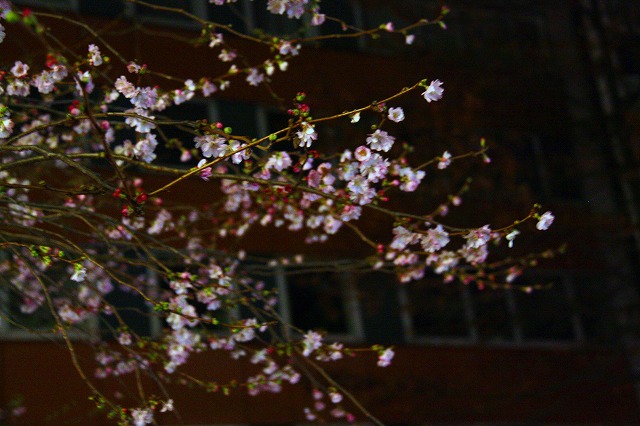 c0153740_2091766.jpg