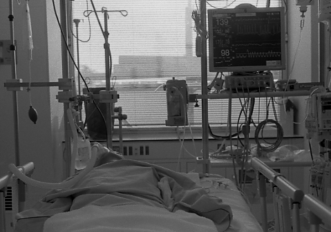 f0148240_216372.gif