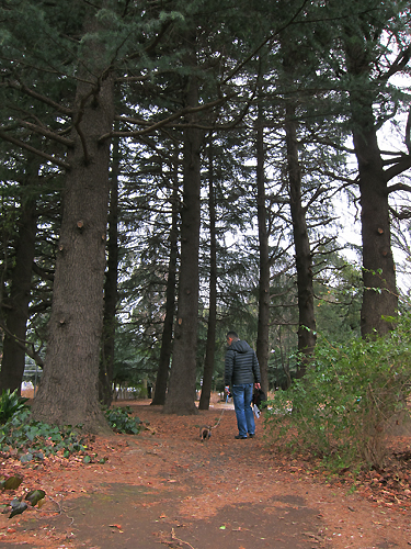 f0166645_15195113.jpg