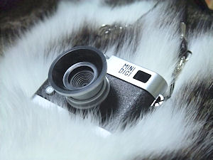 d0034352_21575560.jpg