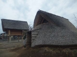 a0081957_23464198.jpg