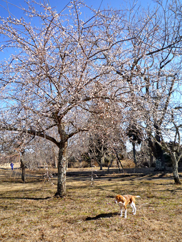 b0045357_10224839.jpg