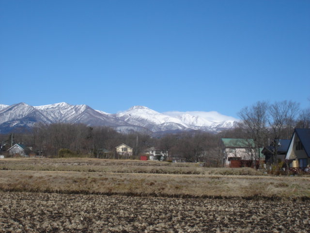 e0151566_10305812.jpg