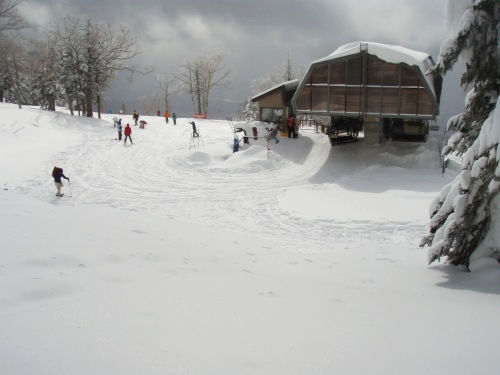 b0050067_836249.jpg