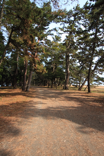 e0051888_20524610.jpg