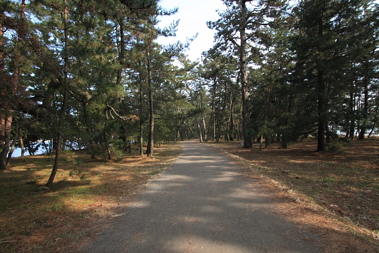 e0051888_20542578.jpg