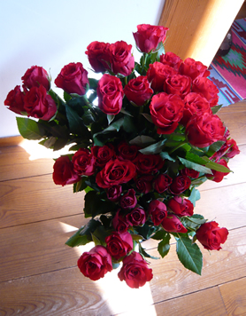c0042989_9163644.jpg