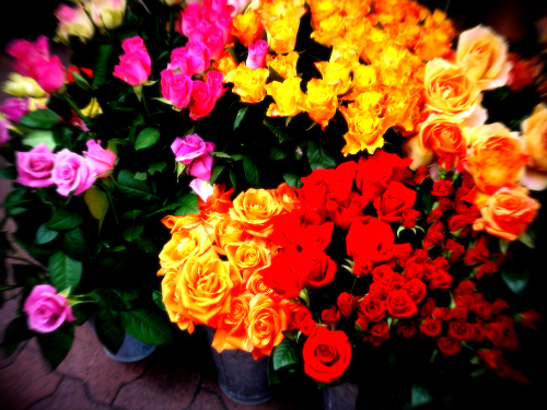 a0164102_2054767.jpg