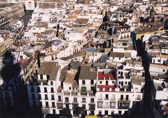 c0202705_19413831.jpg