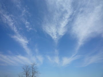 e0070606_2329296.jpg