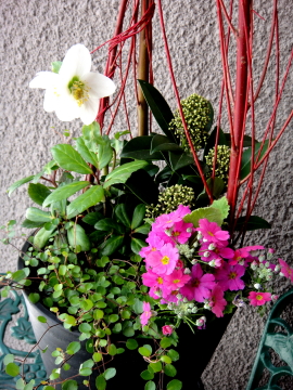 f0041606_1650549.jpg