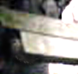 e0103408_14473595.jpg
