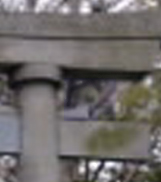 e0103408_1502222.jpg