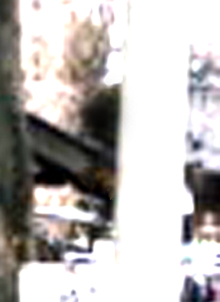 e0103408_15039.jpg