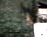 e0103408_1504289.jpg
