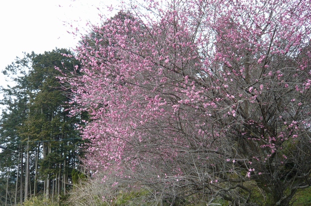 f0221708_15411813.jpg