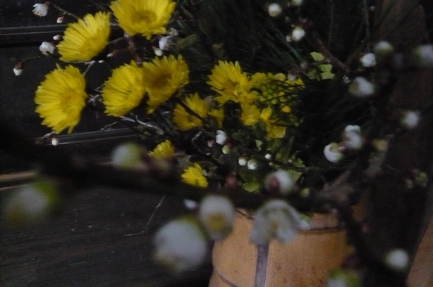 f0221708_15415030.jpg