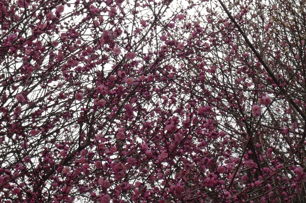 f0221708_15424028.jpg
