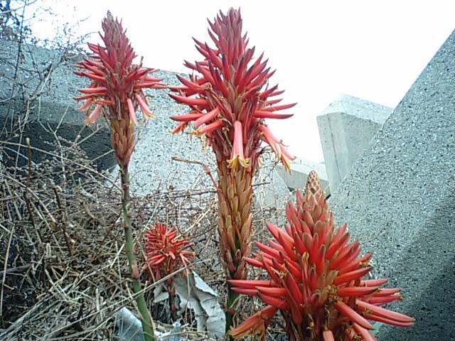 f0231709_13372263.jpg