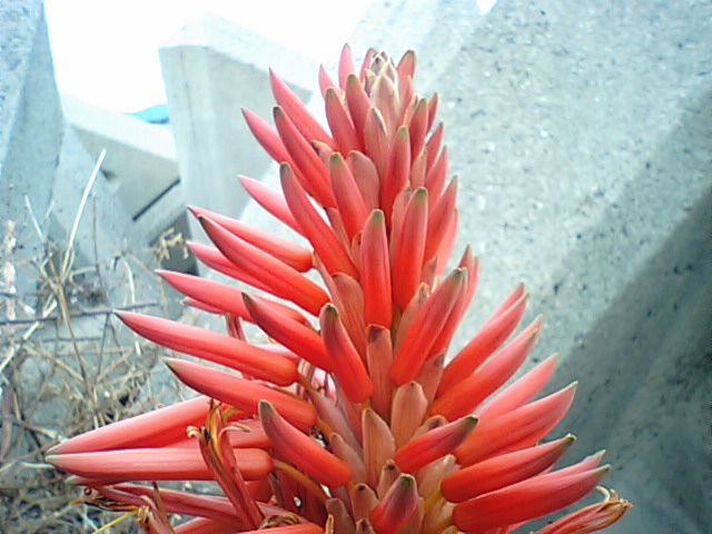 f0231709_133799.jpg