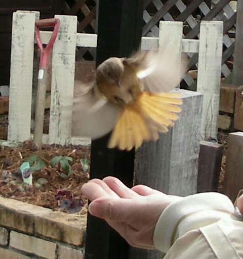 c0190010_20323890.jpg